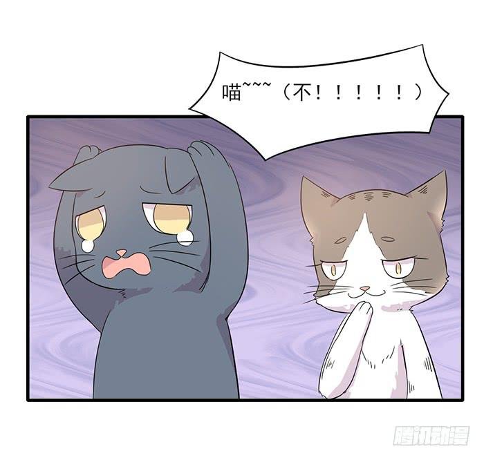 第013话