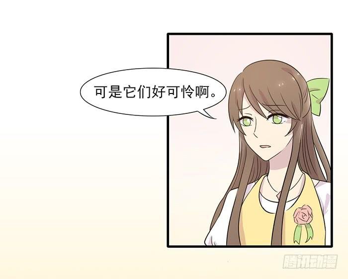 第013话