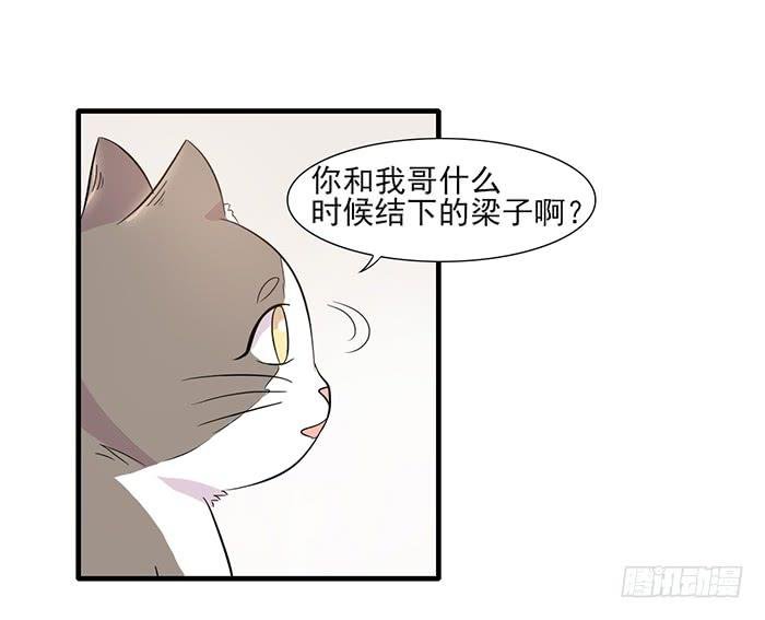 第013话