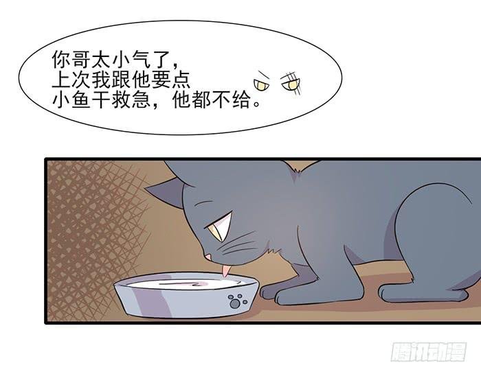 第013话