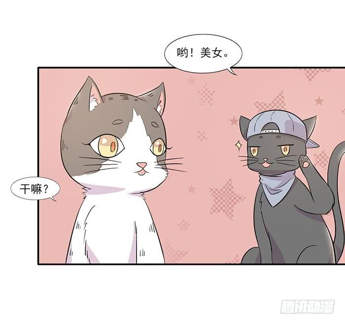 第014话