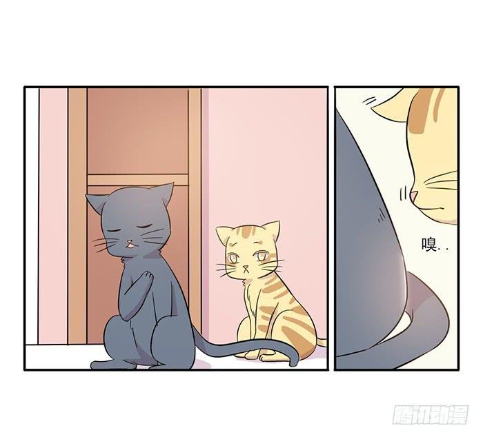 第014话