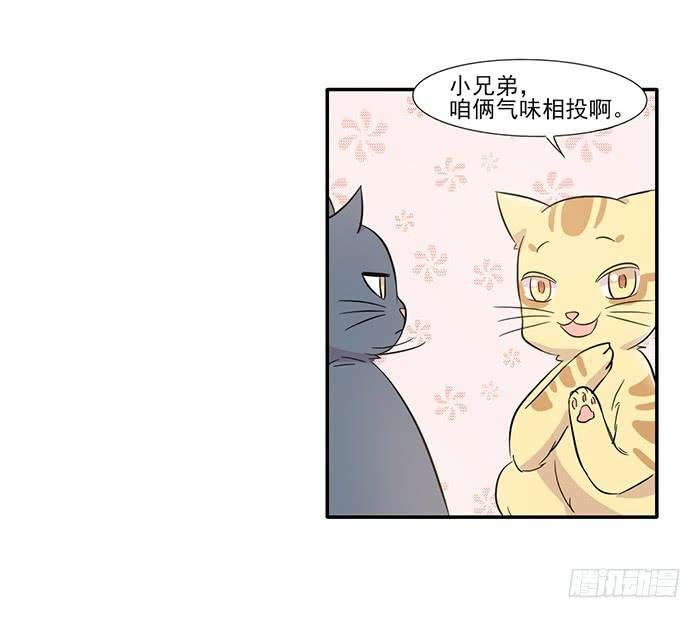 第014话