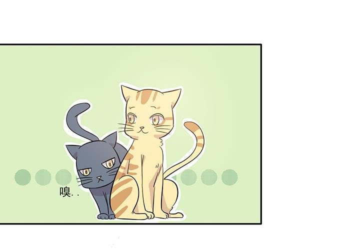 第014话