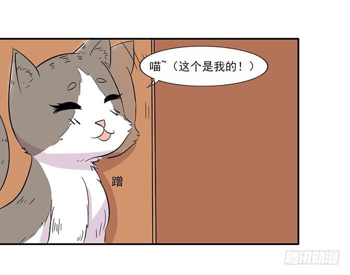 第015话
