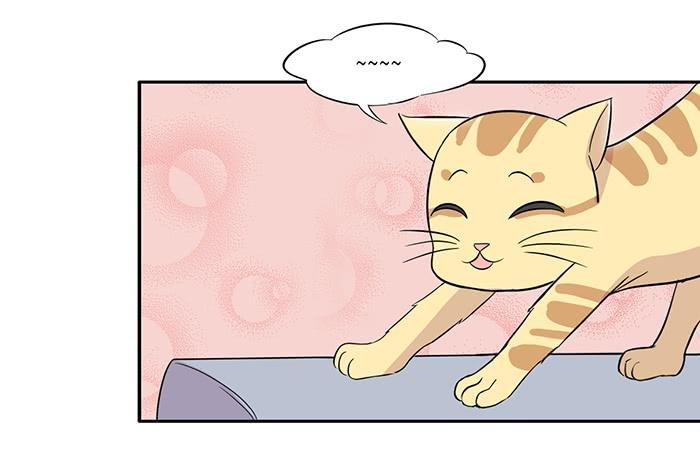 第015话