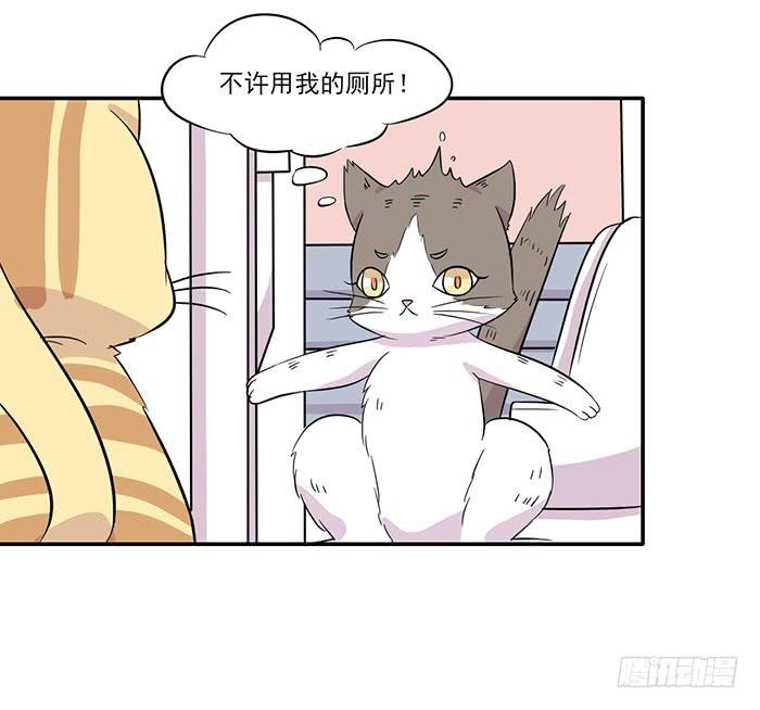 第015话