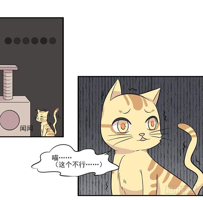 第015话
