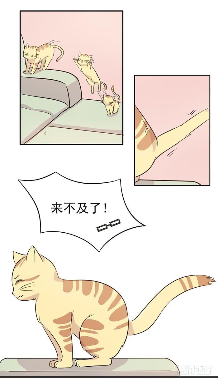 第015话