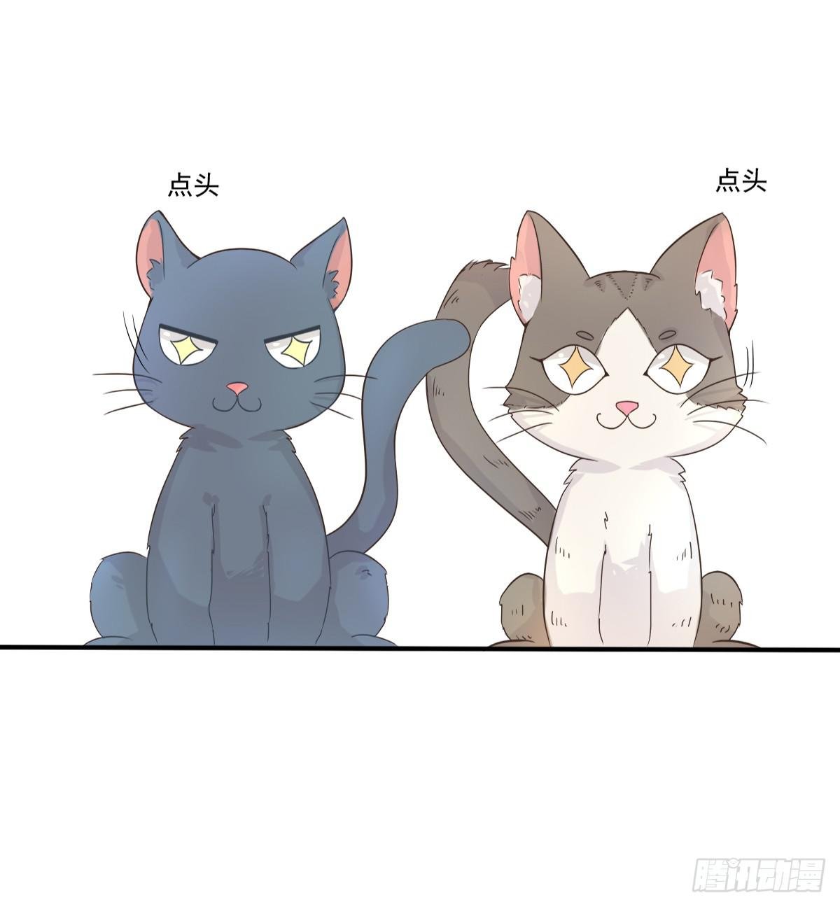 第001话