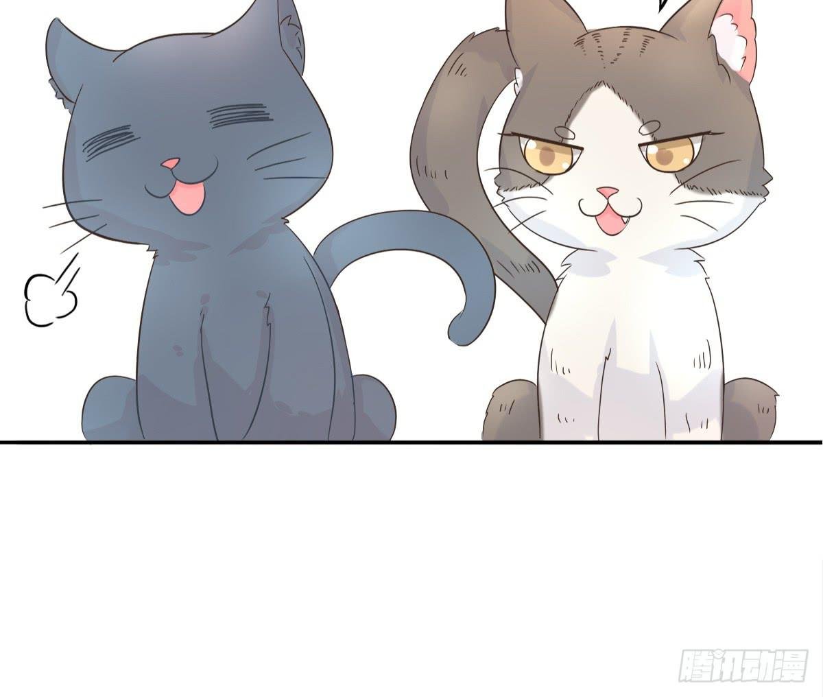 第001话