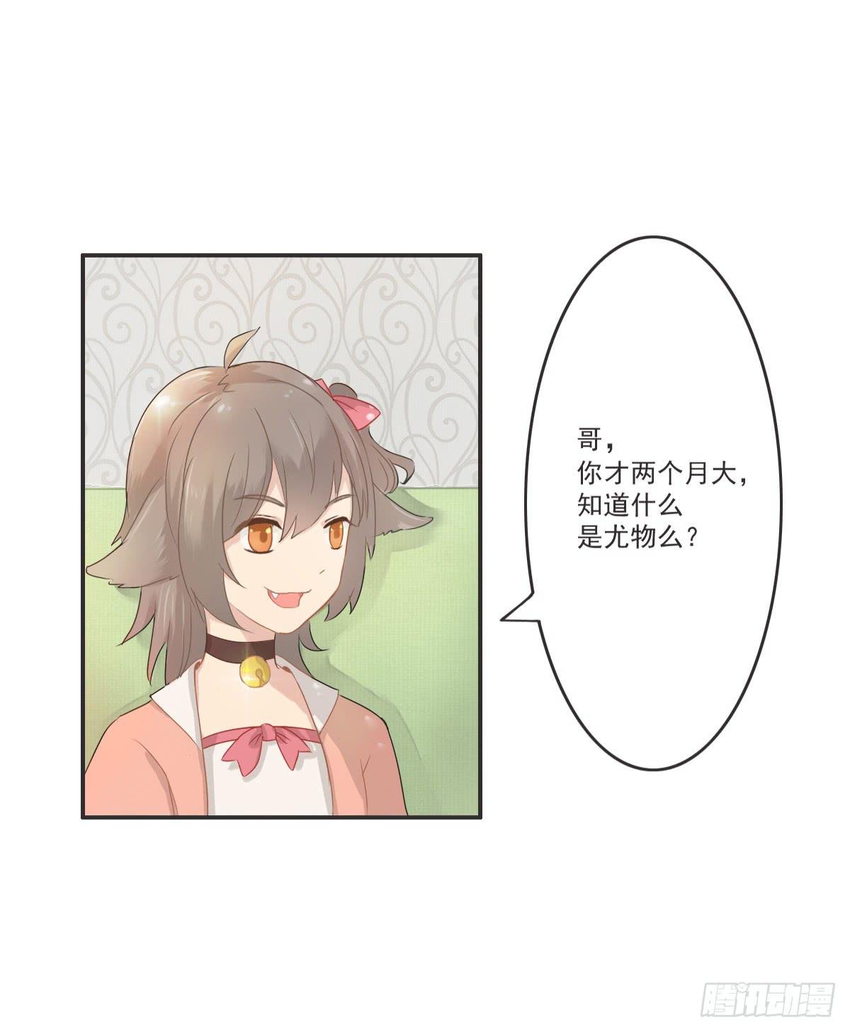 第001话