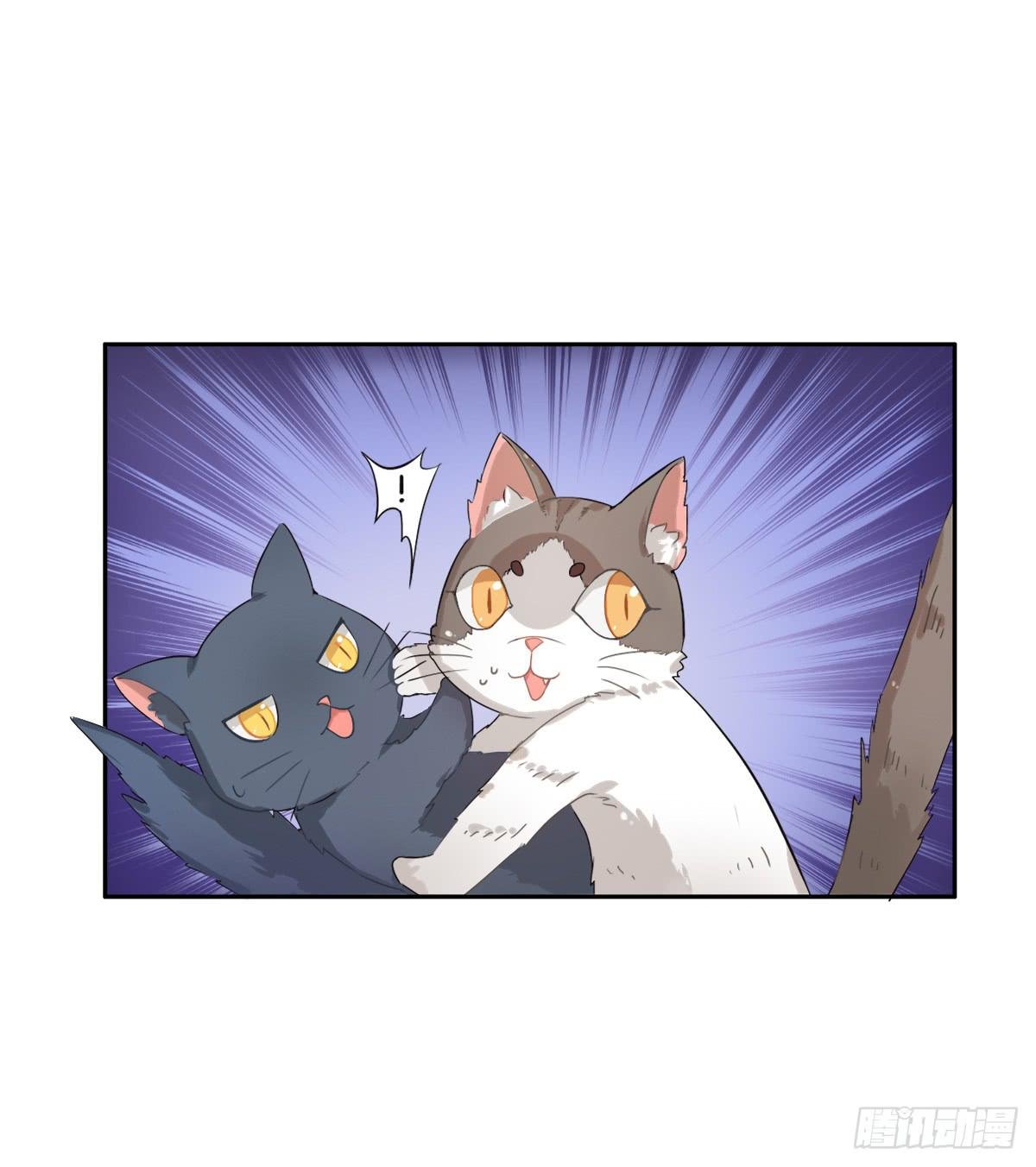 第001话