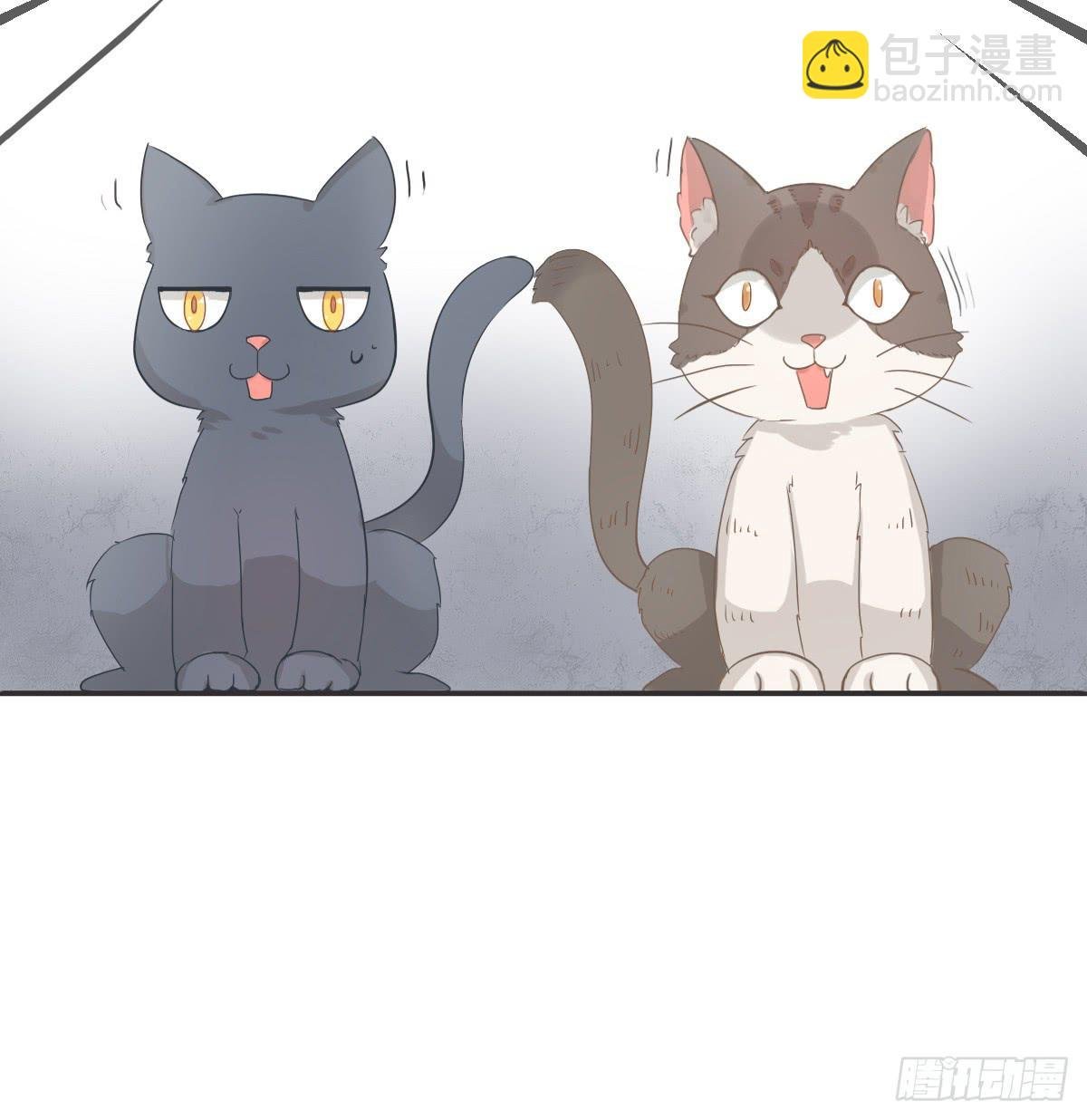 第001话
