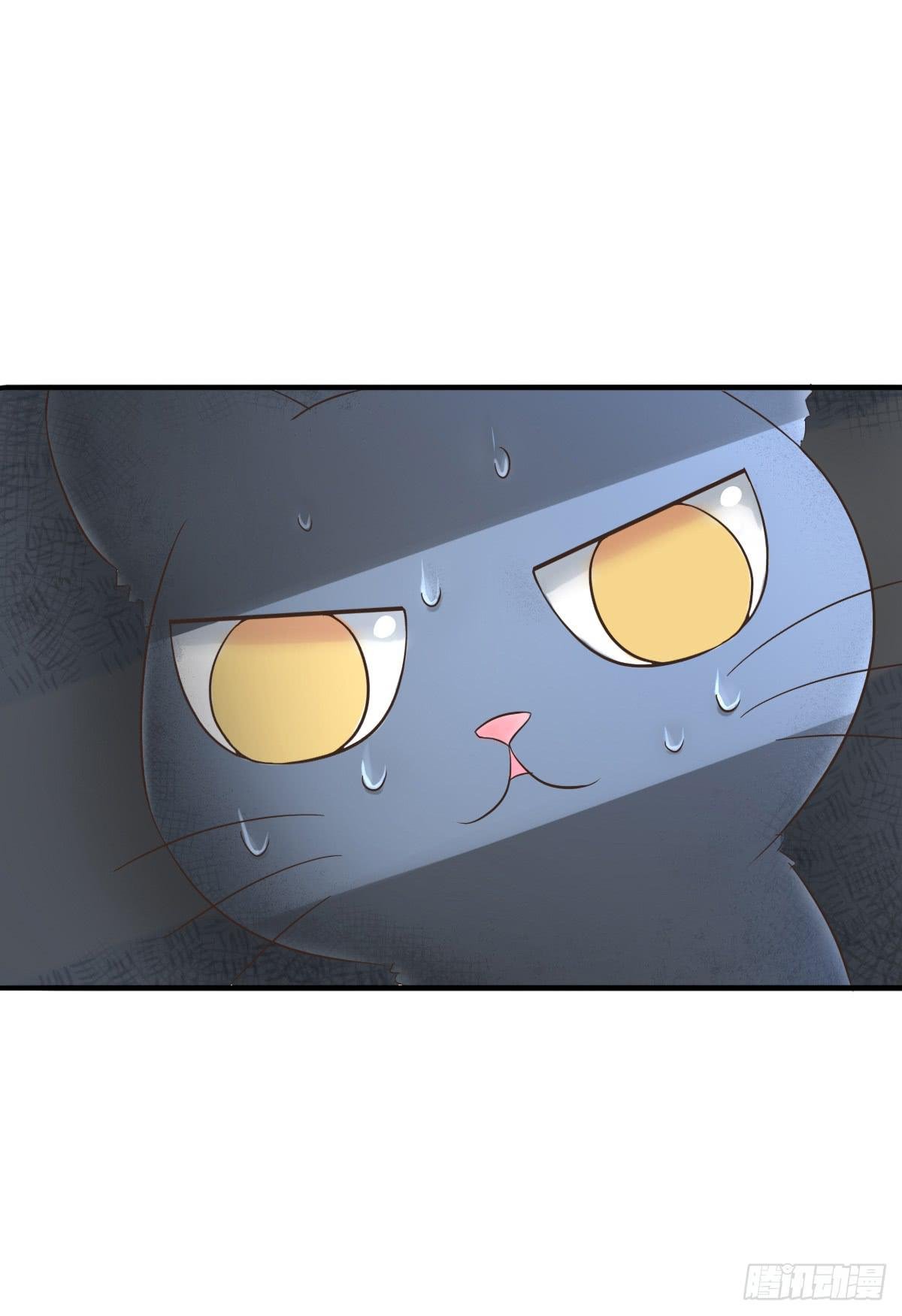 第001话