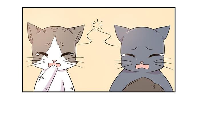 第019话