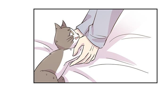 第019话