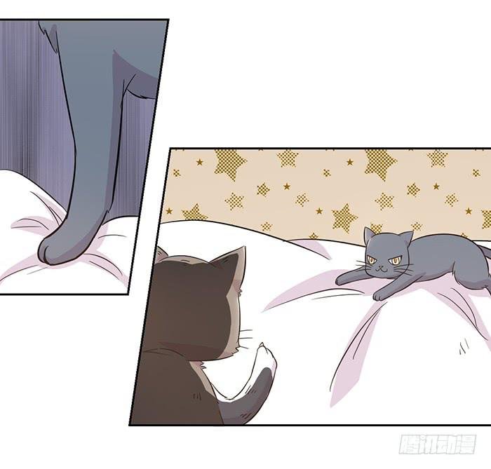 第019话