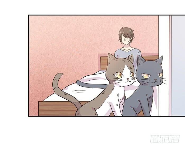 第019话