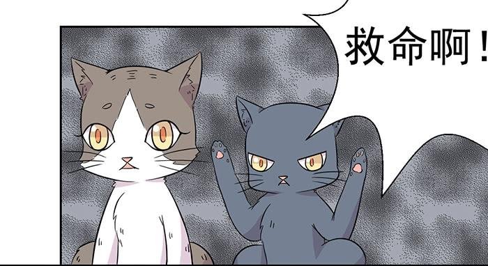 第022话