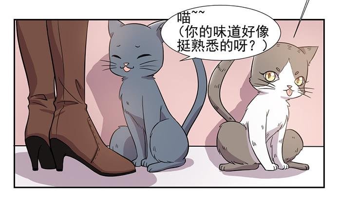 第025话