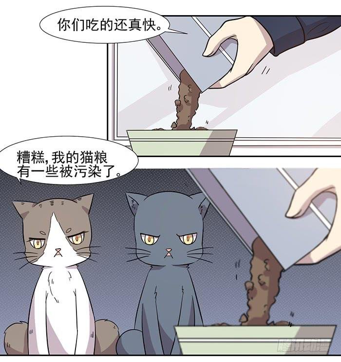 第028话