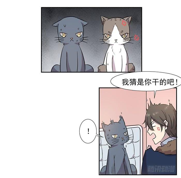第028话