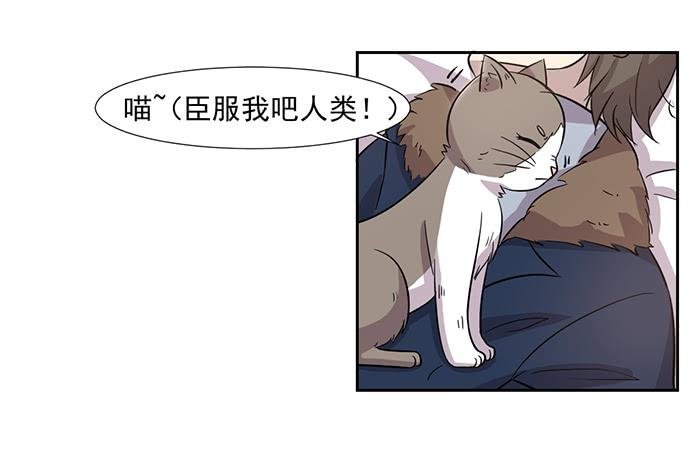 第028话