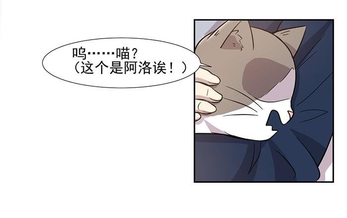 第028话