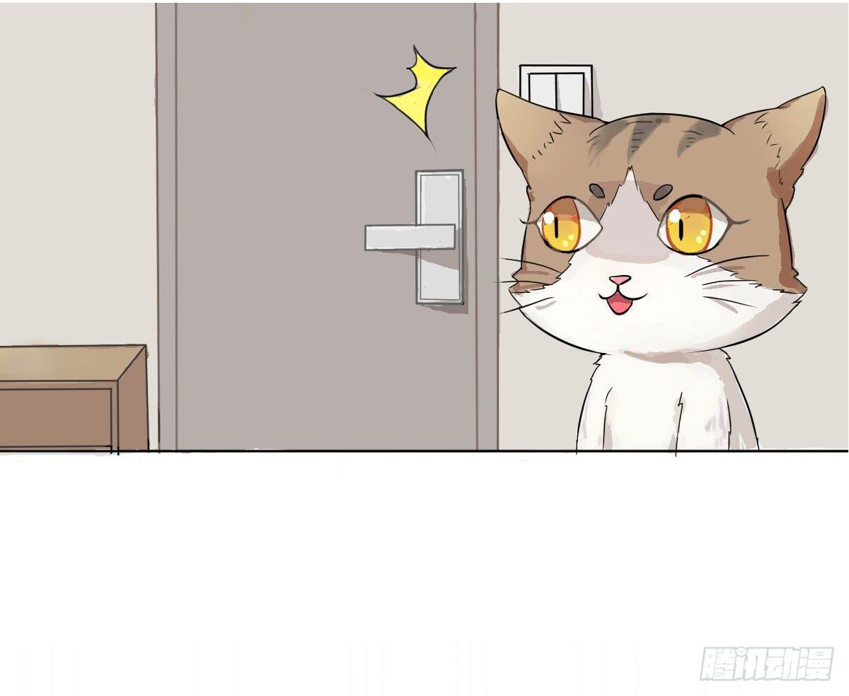 第002话