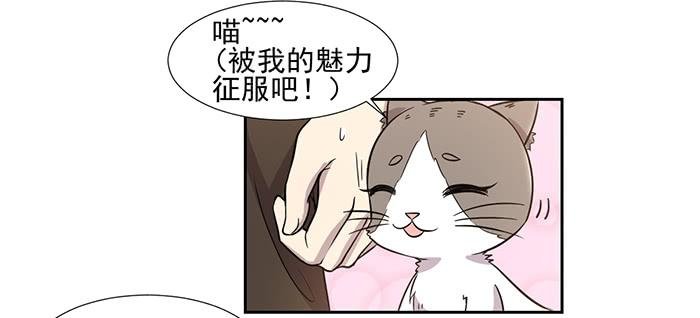 第029话