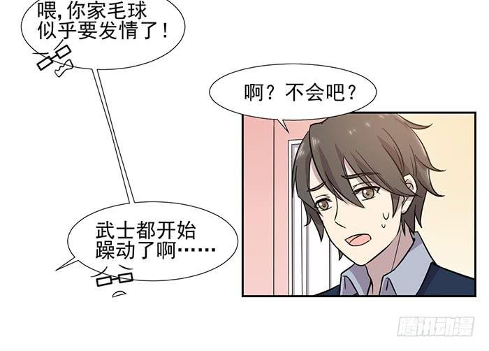 第029话