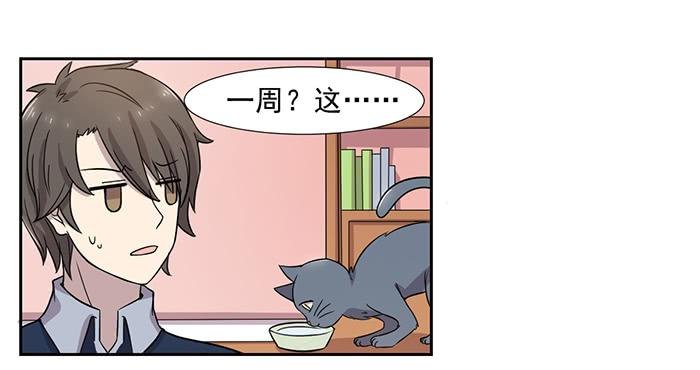 第029话