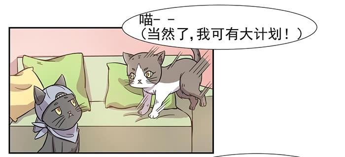 第029话
