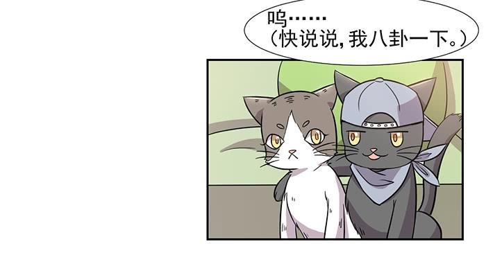 第029话