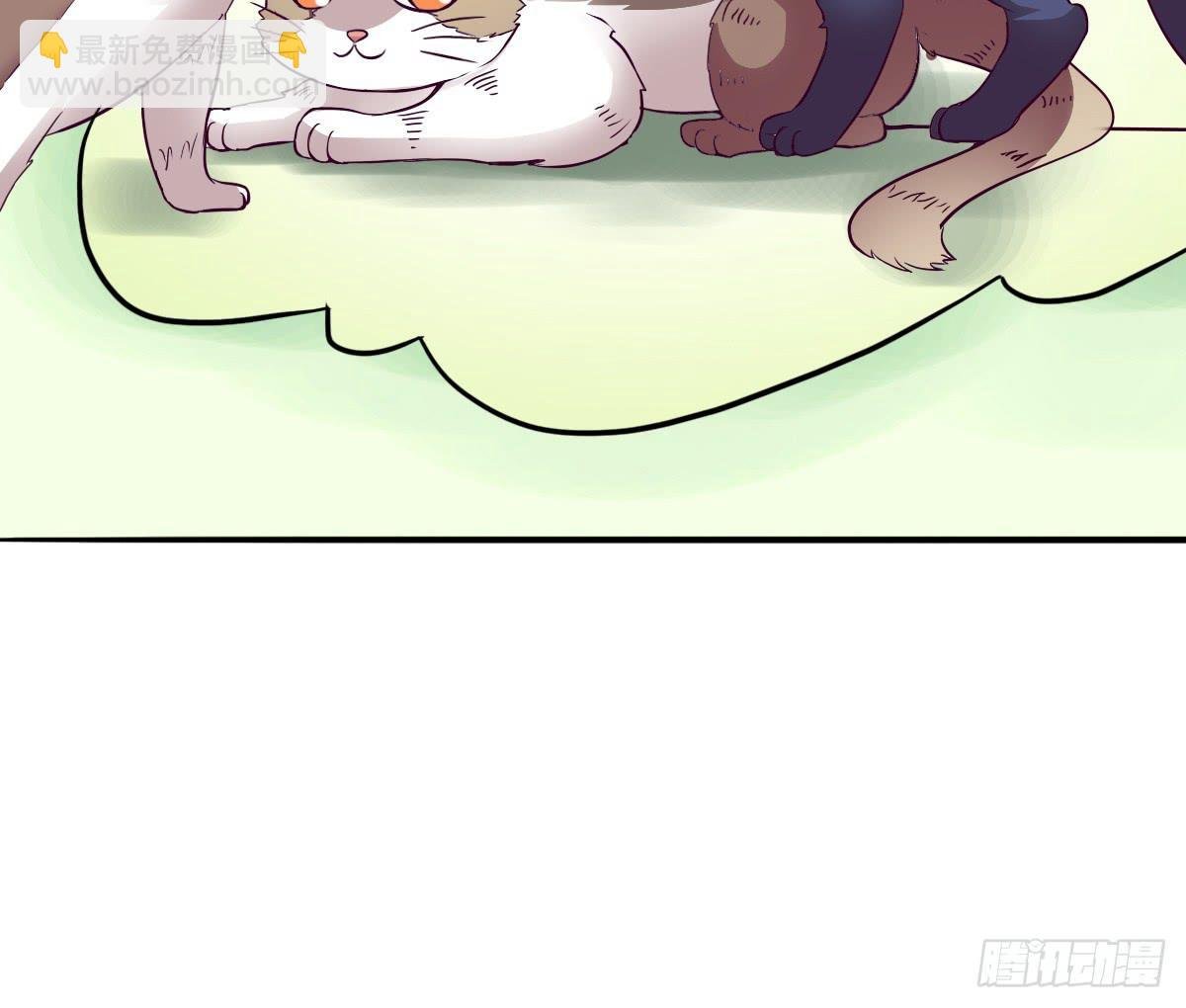 第003话