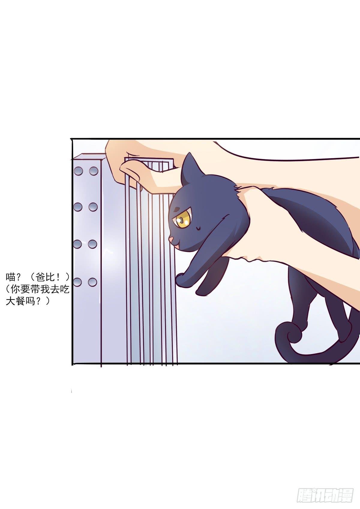 第003话