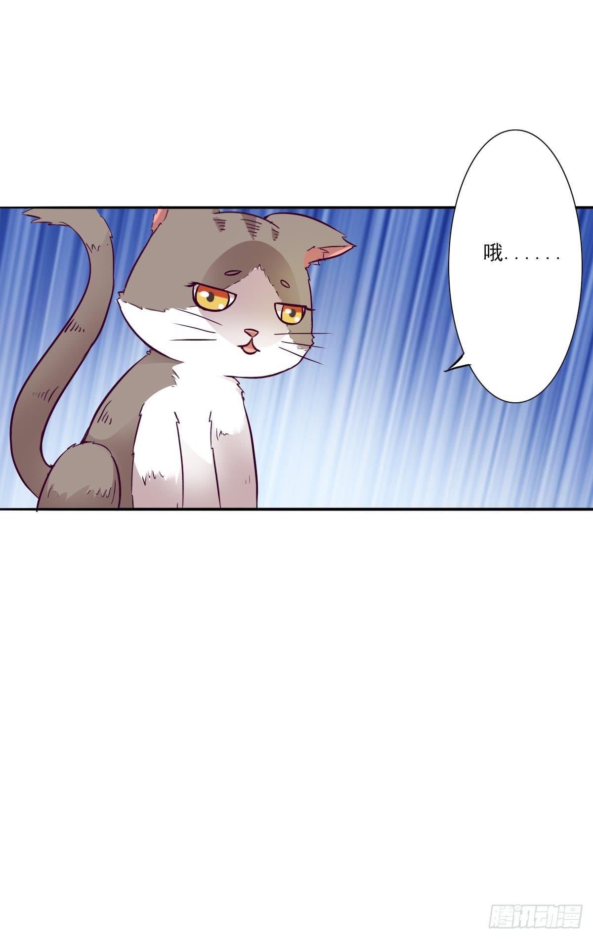 第003话
