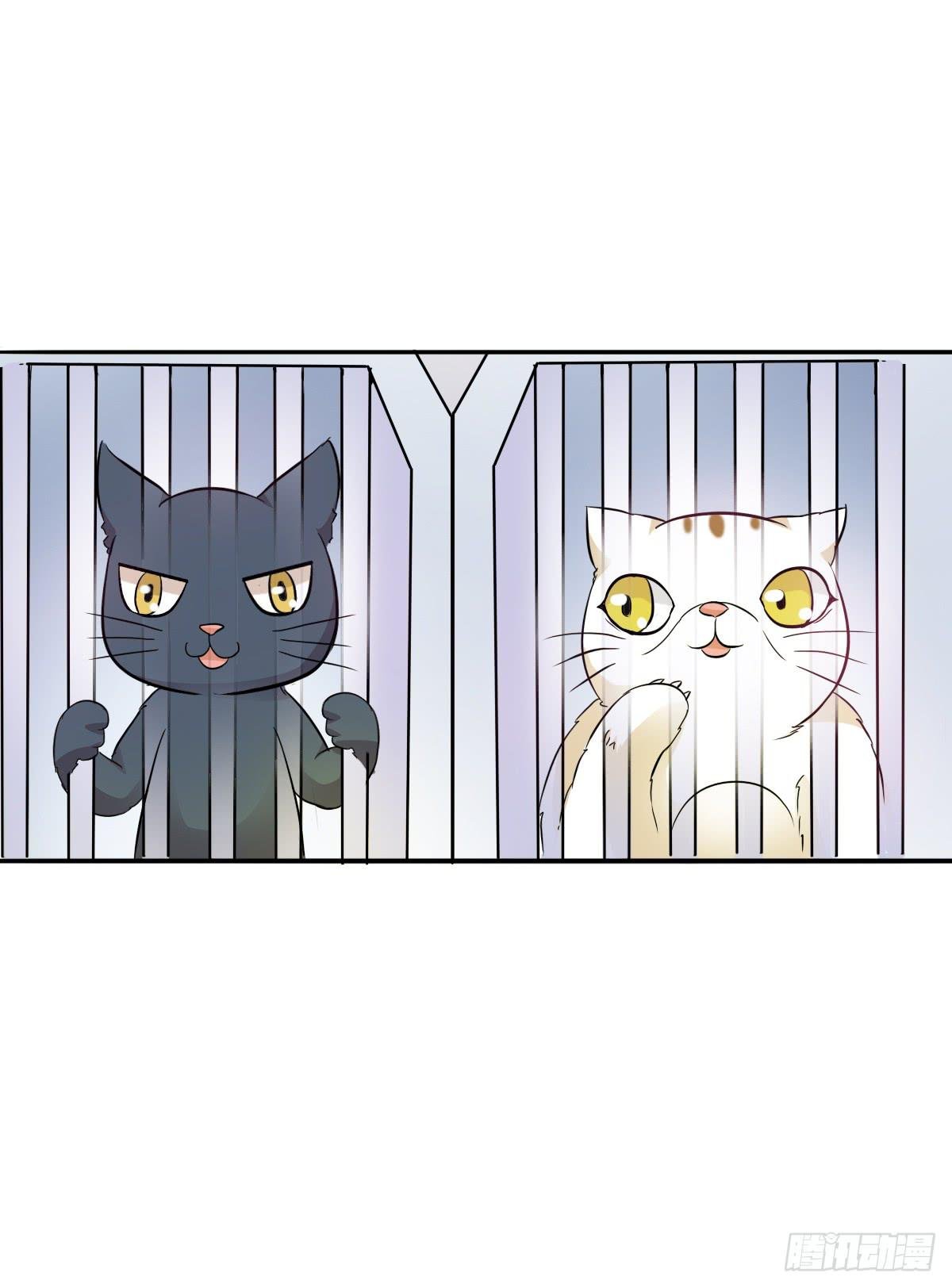 第003话
