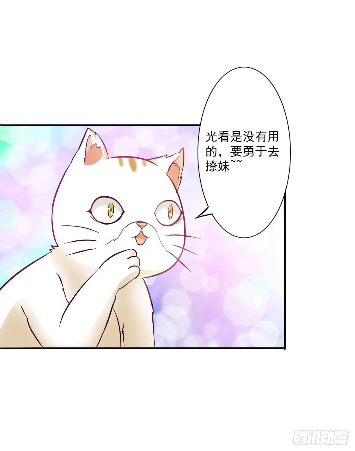 第003话