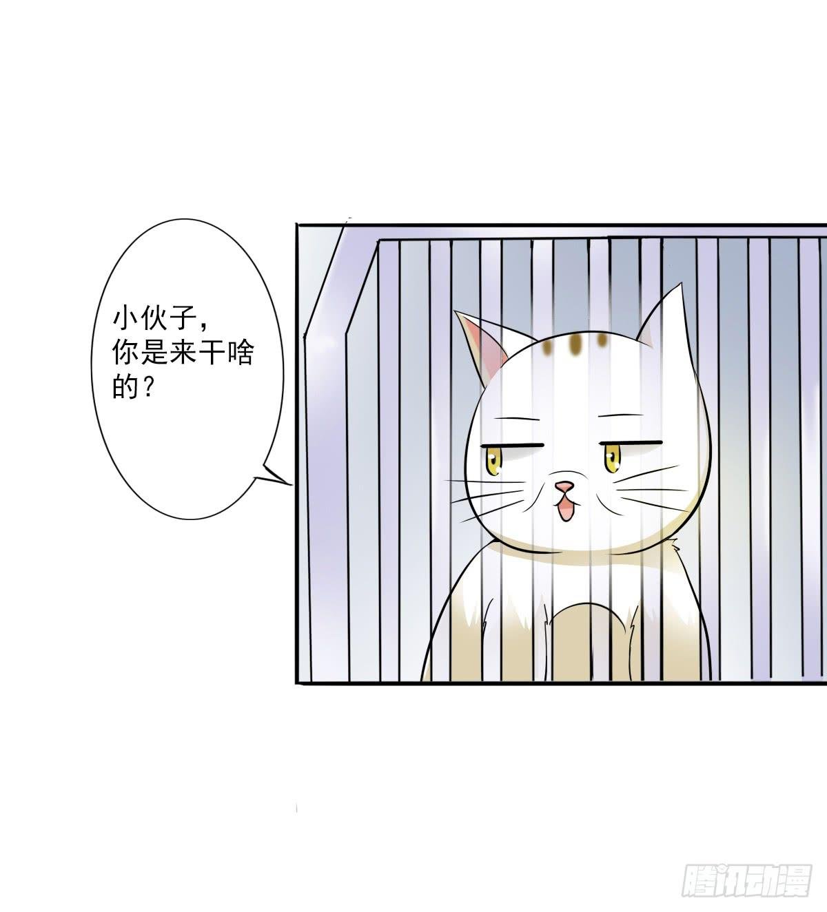 第003话