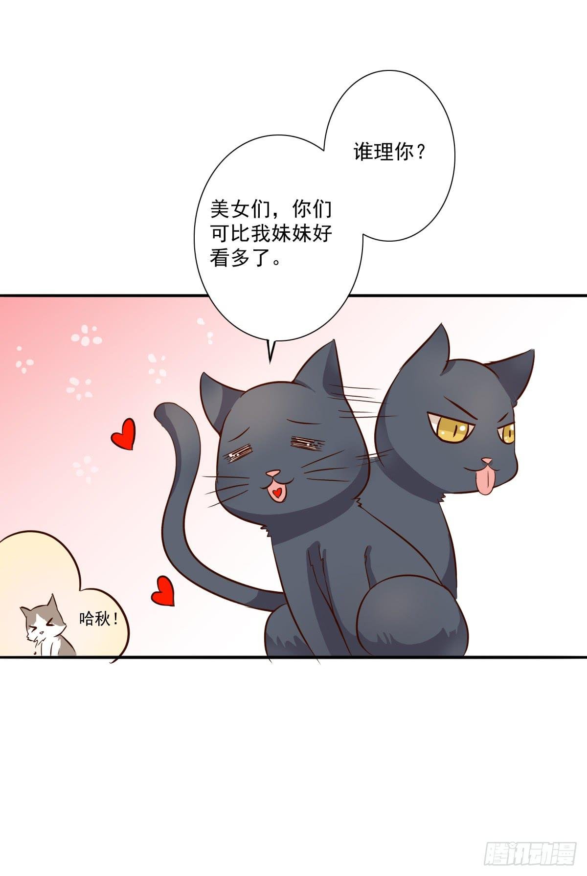 第003话