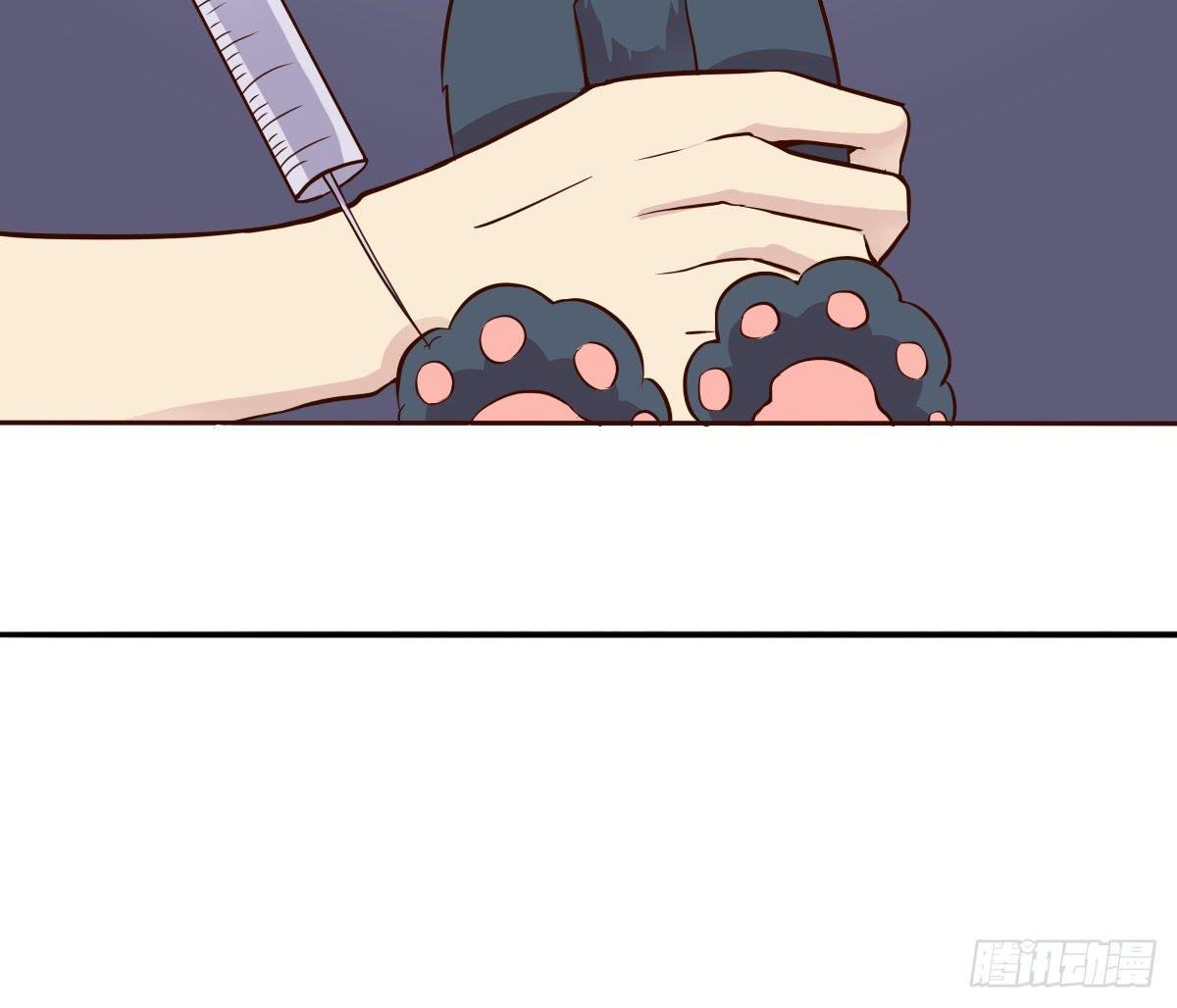 第003话