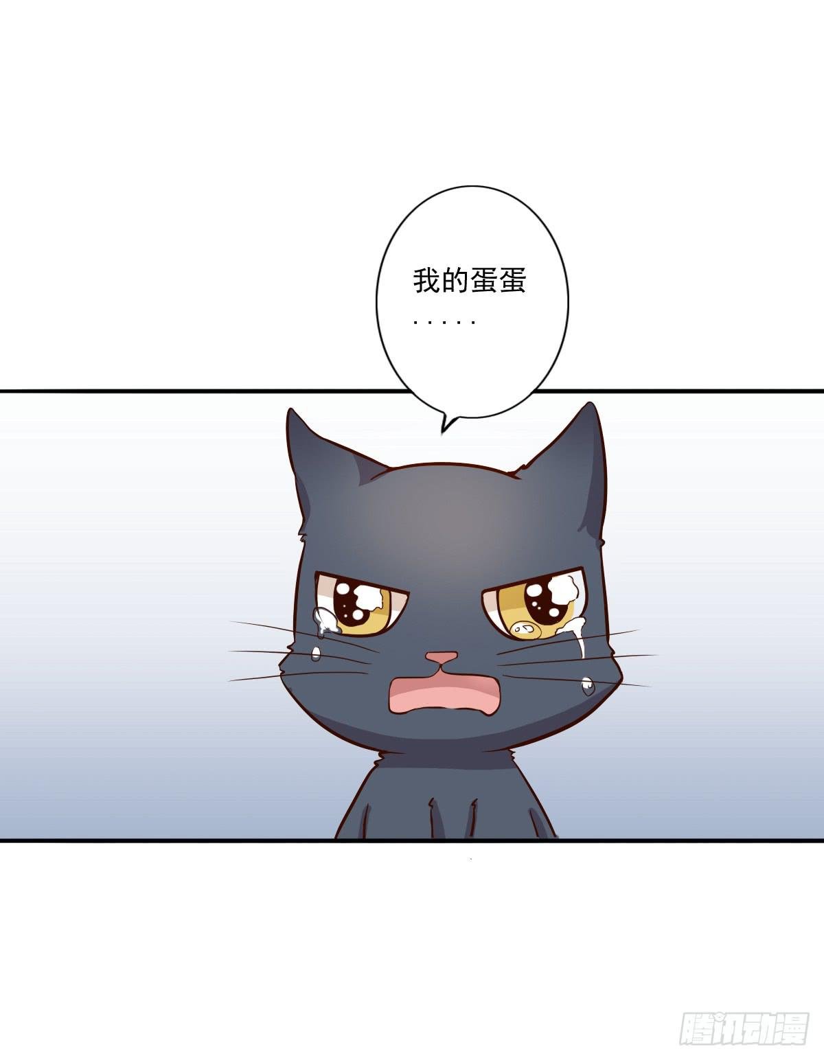 第003话