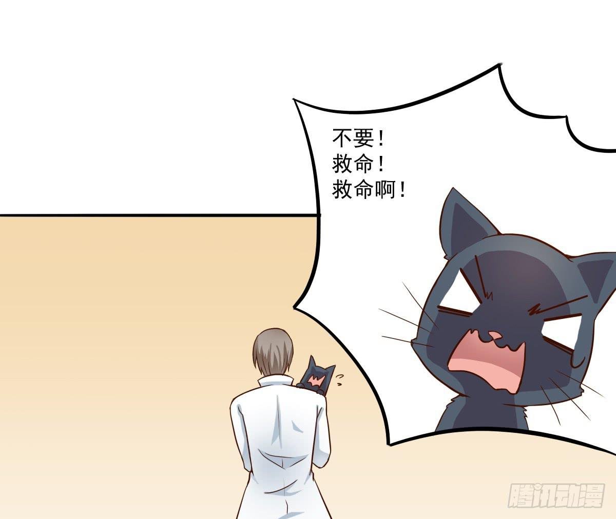 第003话