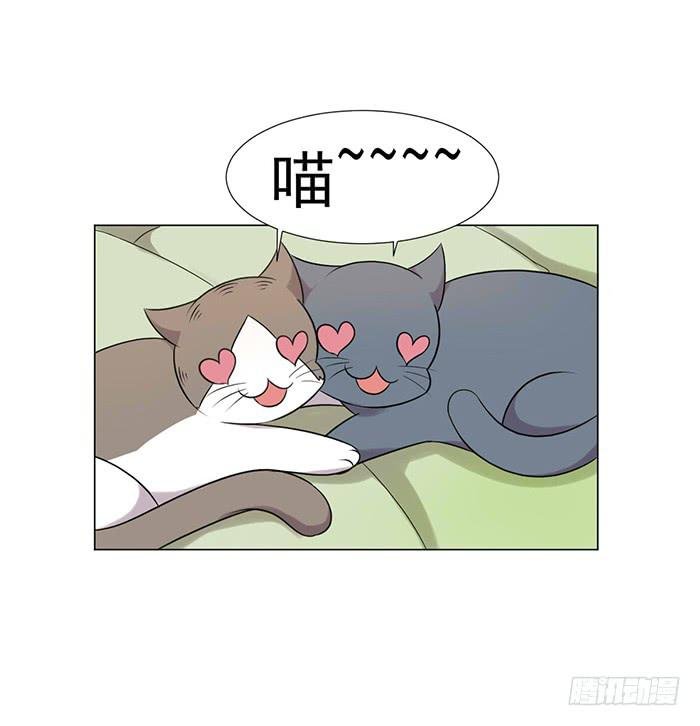 第039话