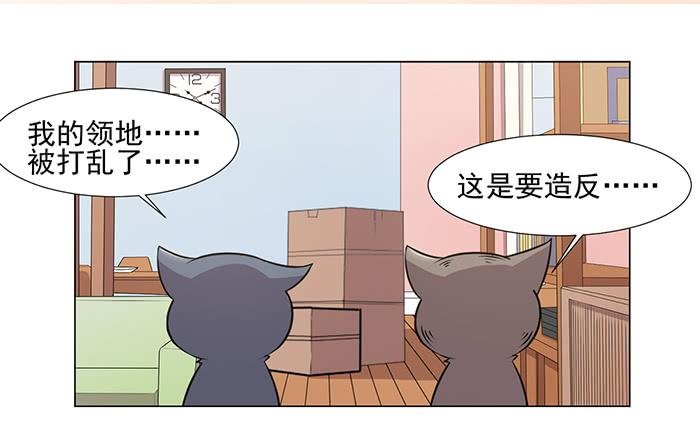 第039话