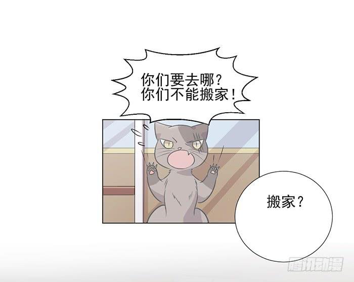 第039话