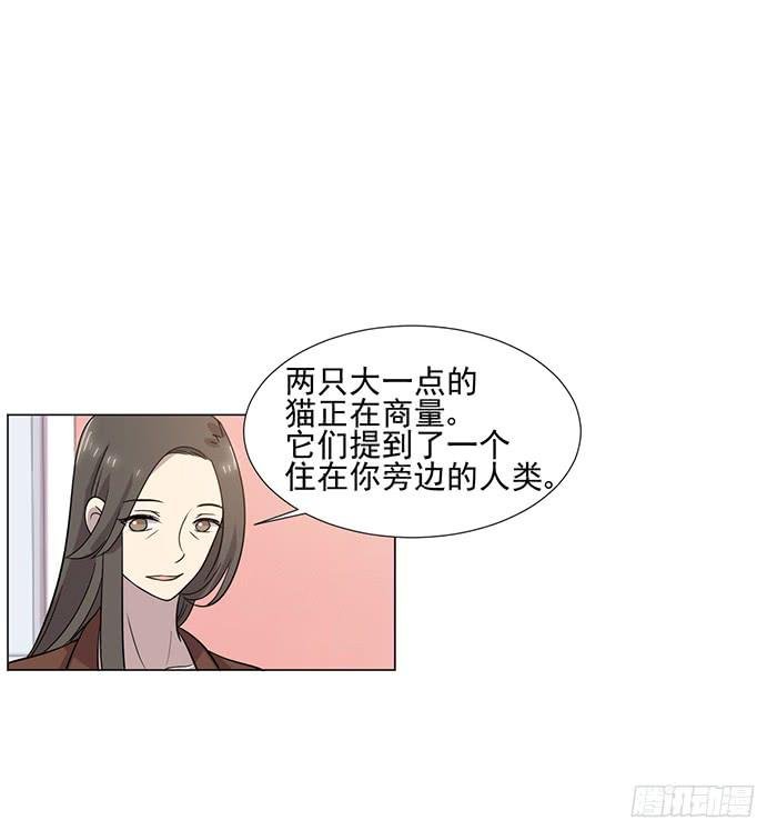 第040话