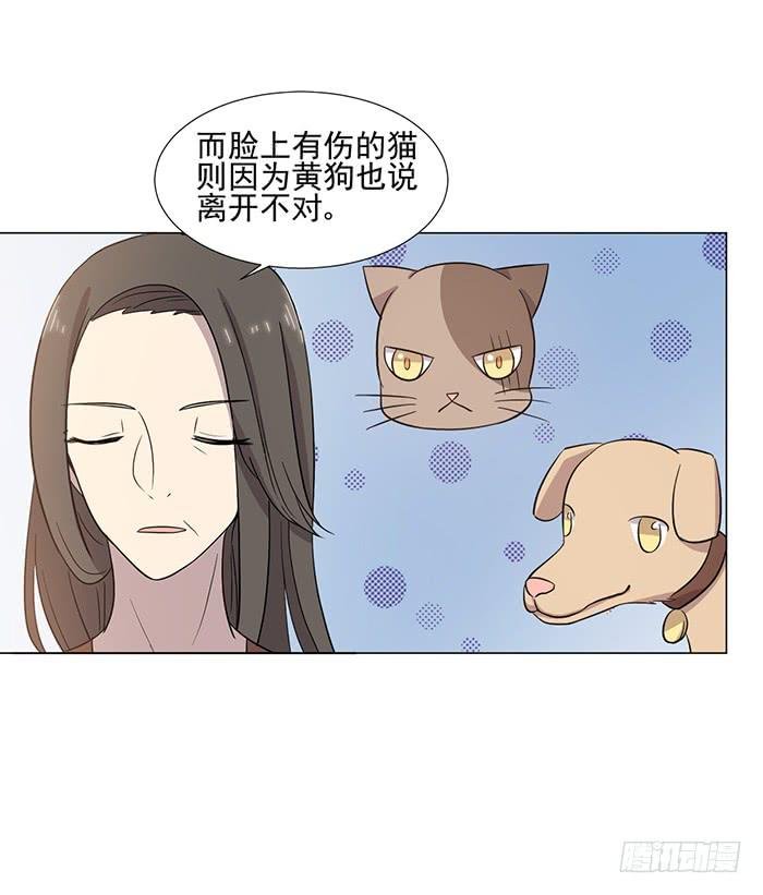 第040话